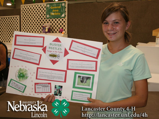 4 H Poster. 4-H STATIC EXHIBIT PHOTOS