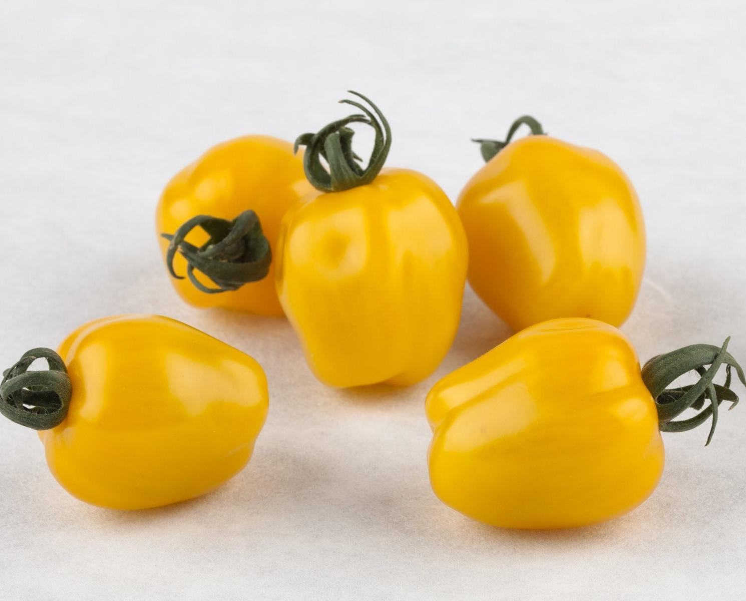 Image of 'Apple Yellow' tomato. 