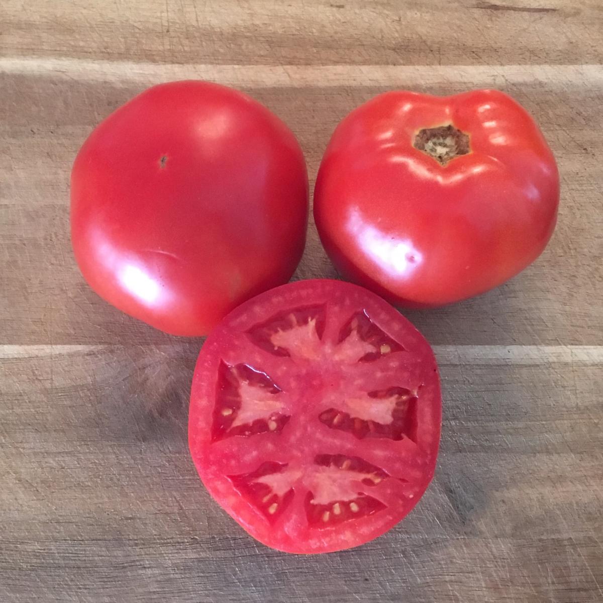 Image of 'Galahad' tomato. 