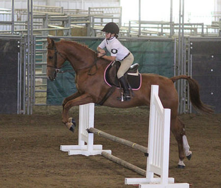 4-H Horse Show Results - 2015 | Nebraska Extension in Lancaster County