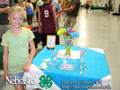 4-H Table Setting