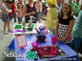 4-H Table Setting