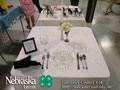 4-H Table Setting