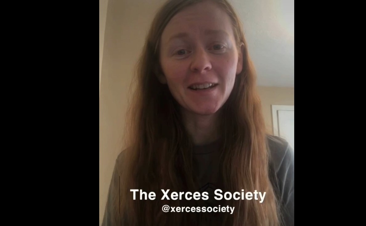 Xerces Society: Conservation Biologist