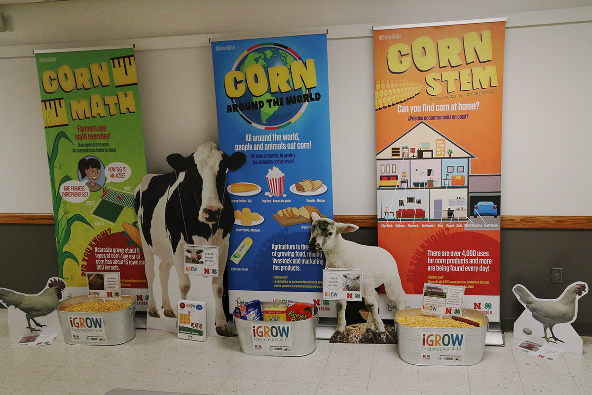 corn display with banners
