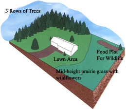 Picture of Farm plan for 3 row planting.
