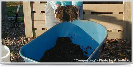 Composting to Reduce Waste