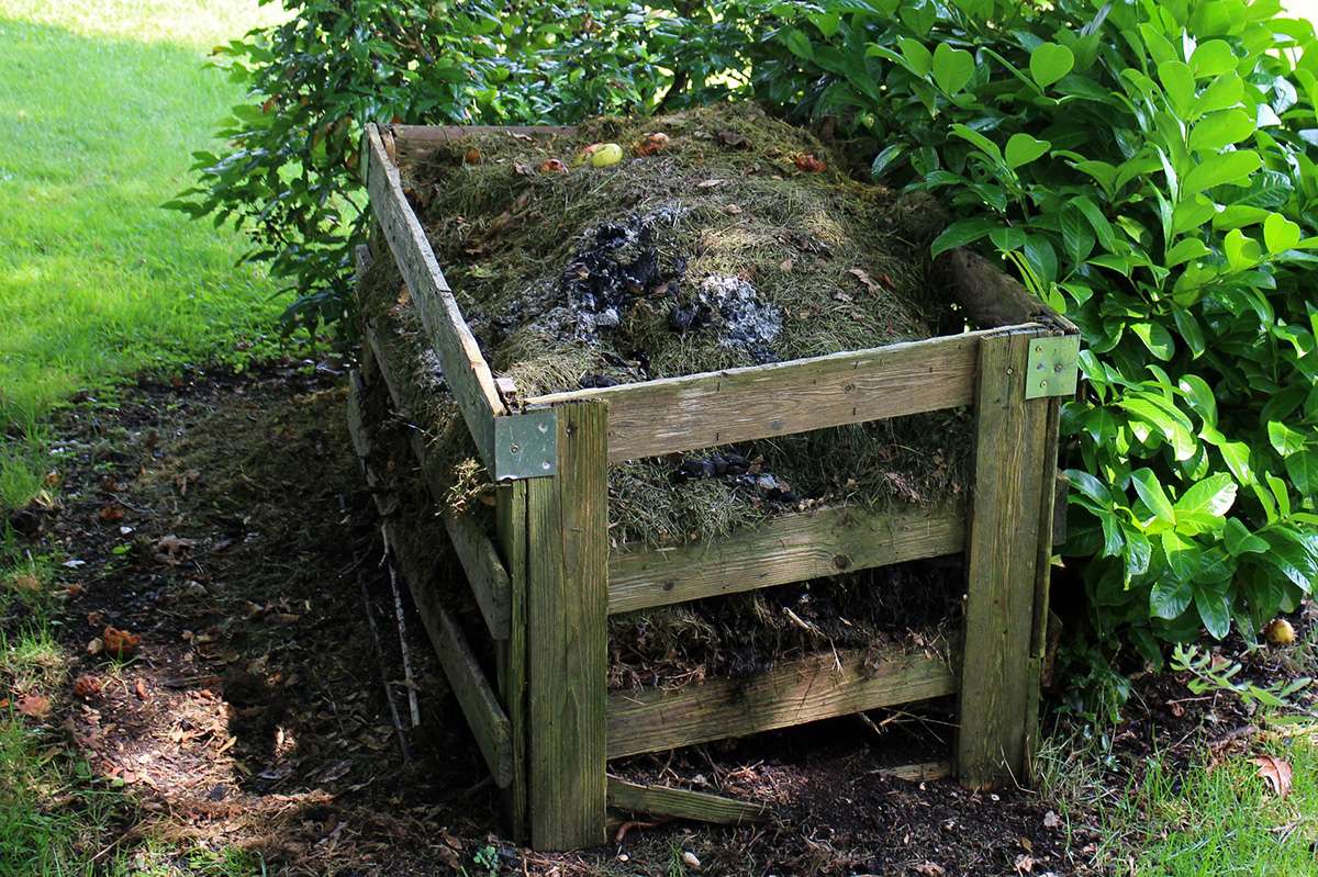 Picture of compost pile