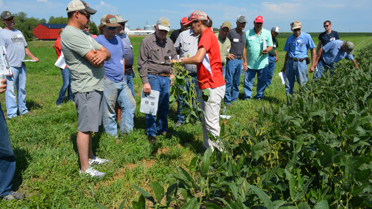 New Format for Nebraska Soybean Management Field Days