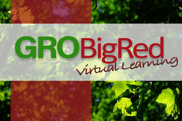 GROBigRed Virtual Learning Series