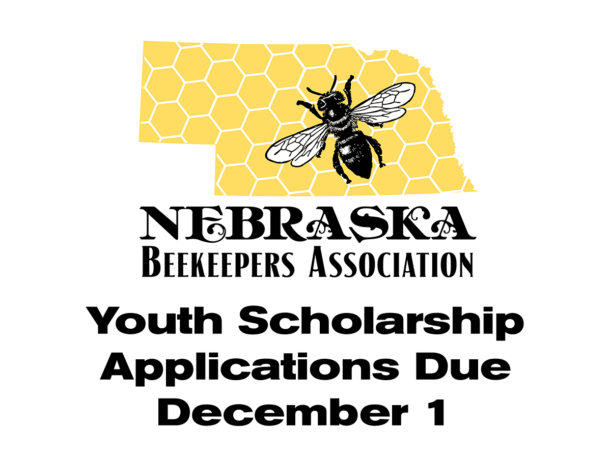 2025 Youth Beekeeping Scholarship; Apply by Dec. 1