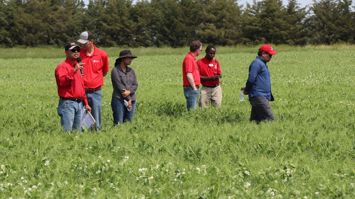 Nebraska Pulse Crops Conference scheduled at two locations