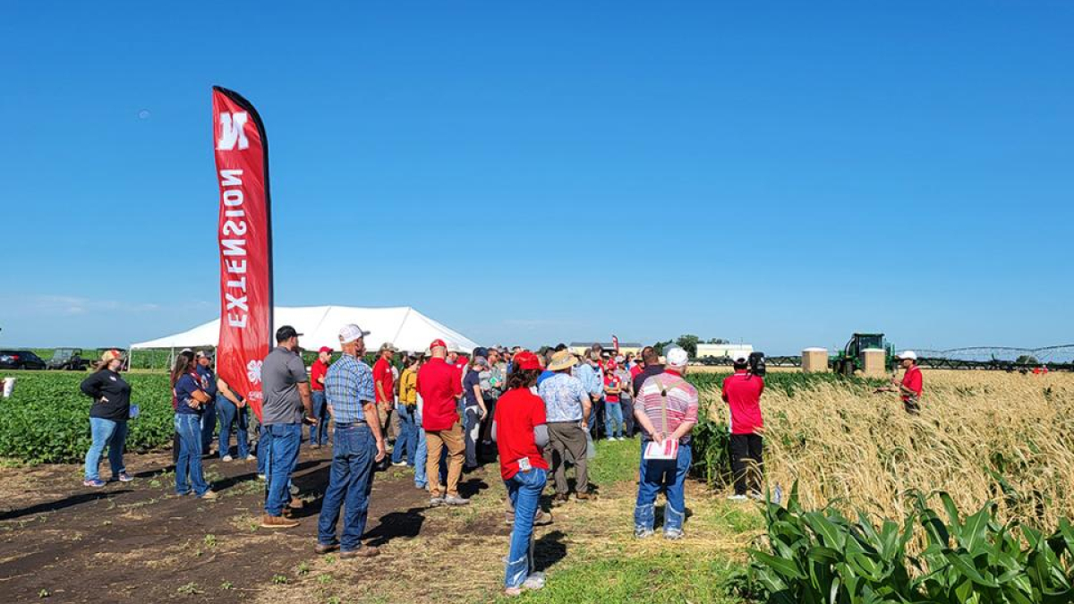 Weed Control in Corn and Soybean Topics of Field Day