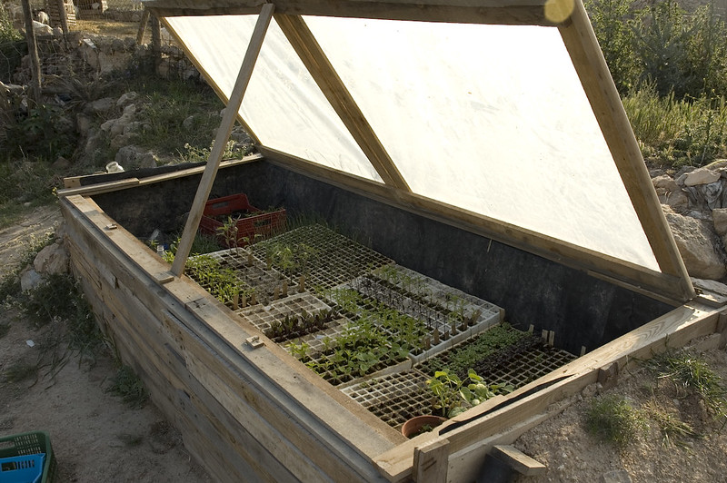Image of a coldframe opened to vent heat. 