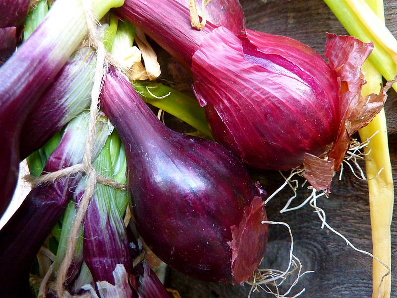 Picture of small purple onions