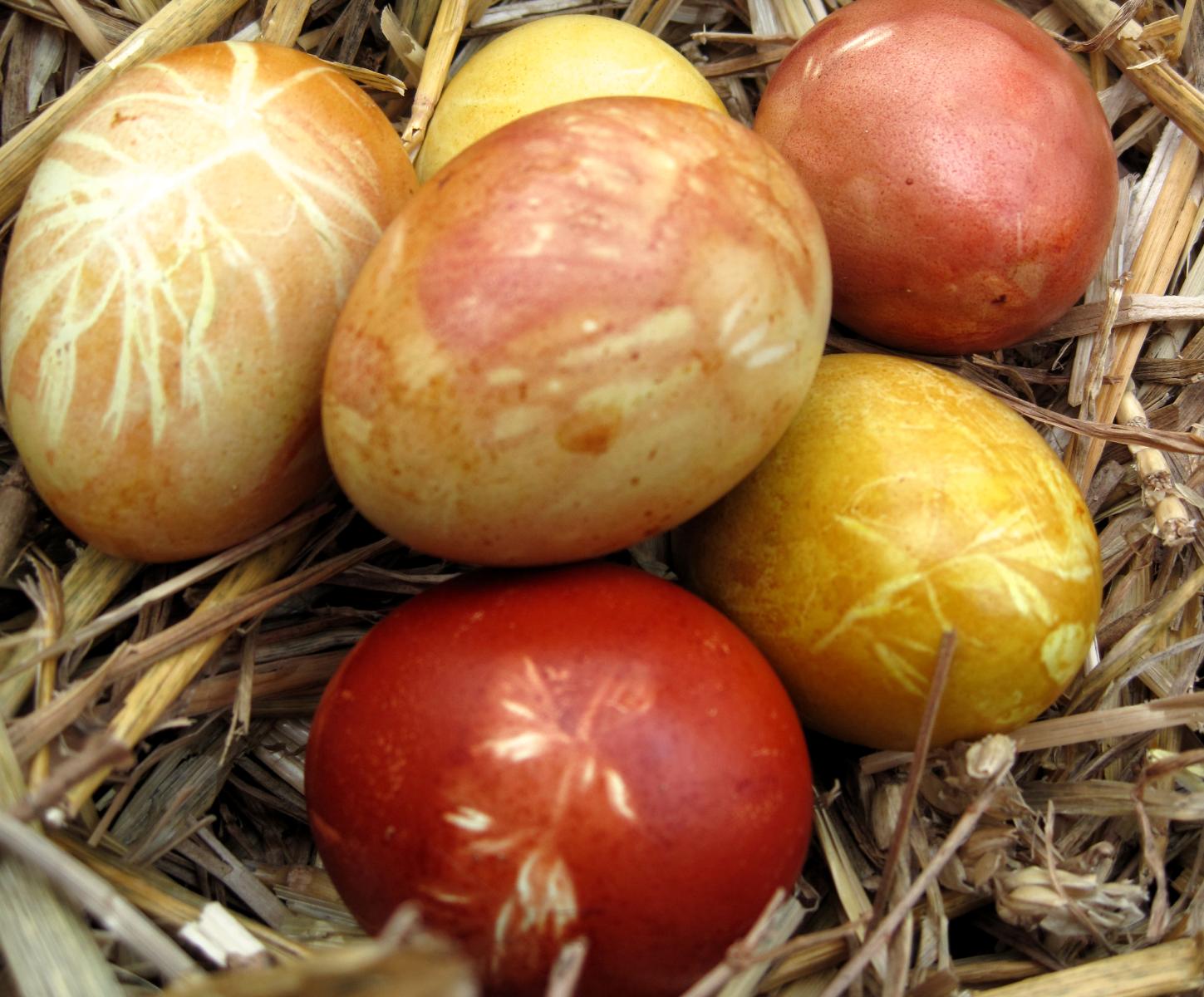 Picture of eggs dyed with onion skins. 