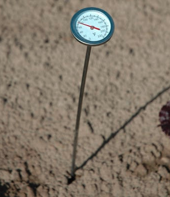 Picture of compost/soil thermometer.
