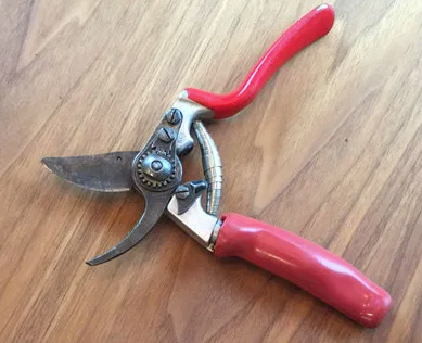 Picture of Hand Pruners