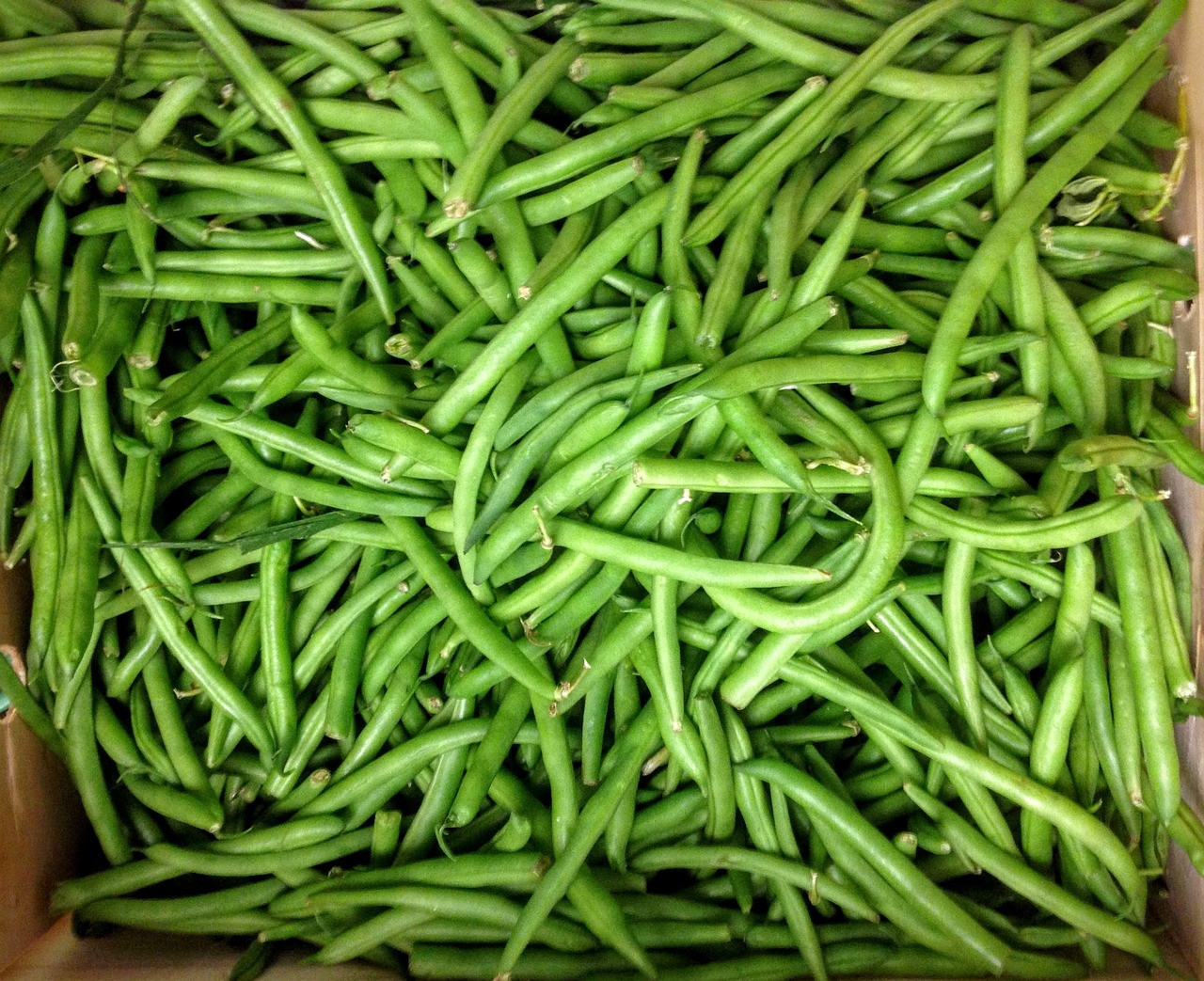 Picture of snap beans