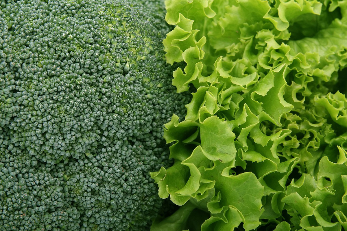 Image of garden vegetables. 