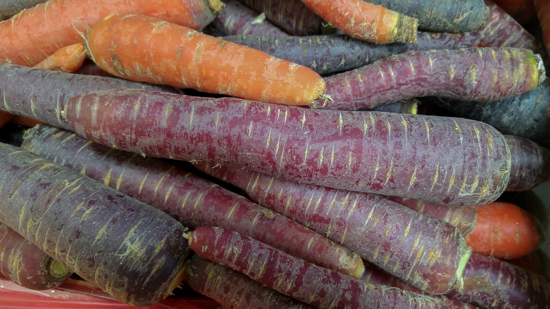 Image of red carrots. 