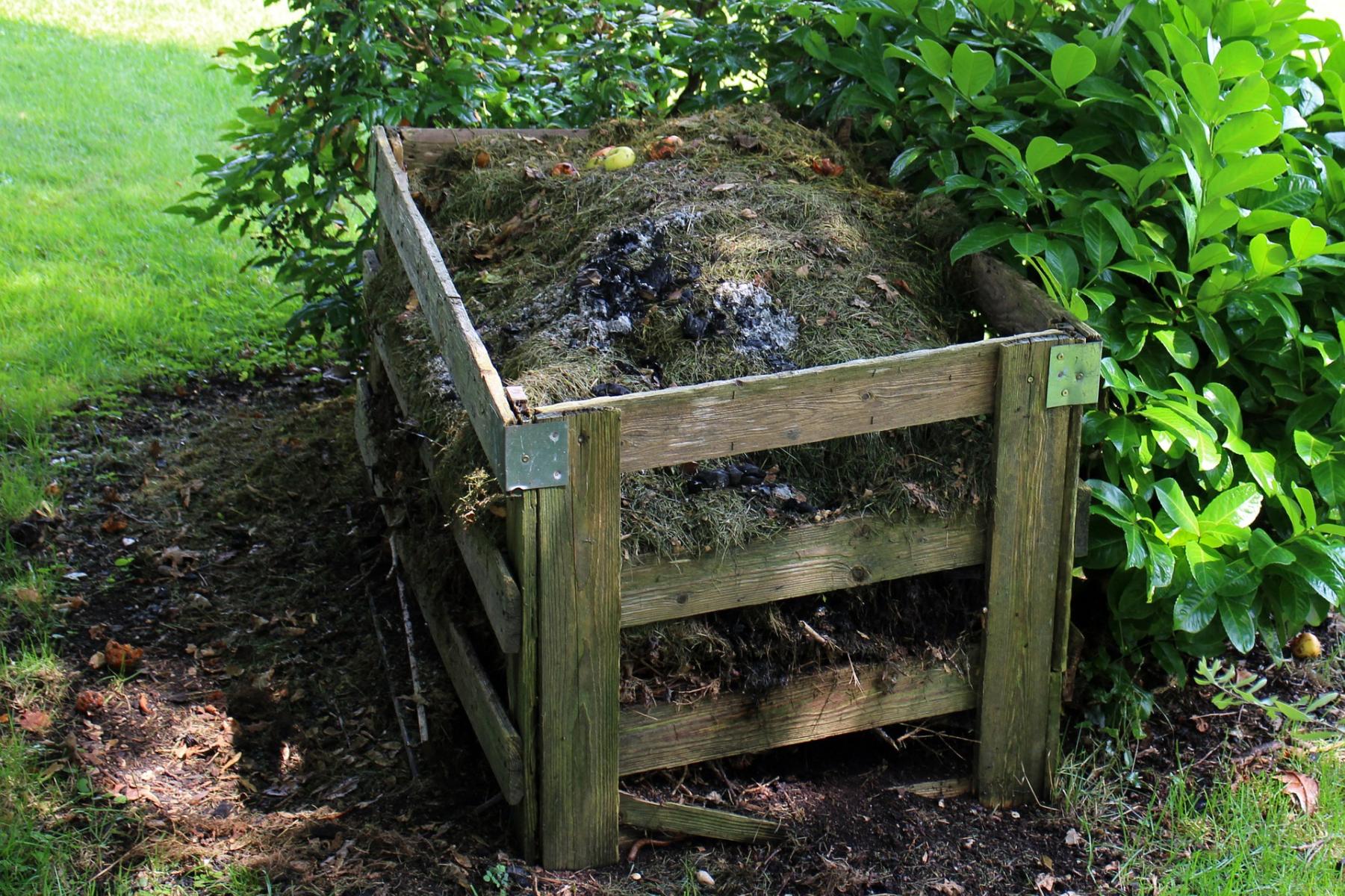 Wooden frame containing compost, outside in the shade.