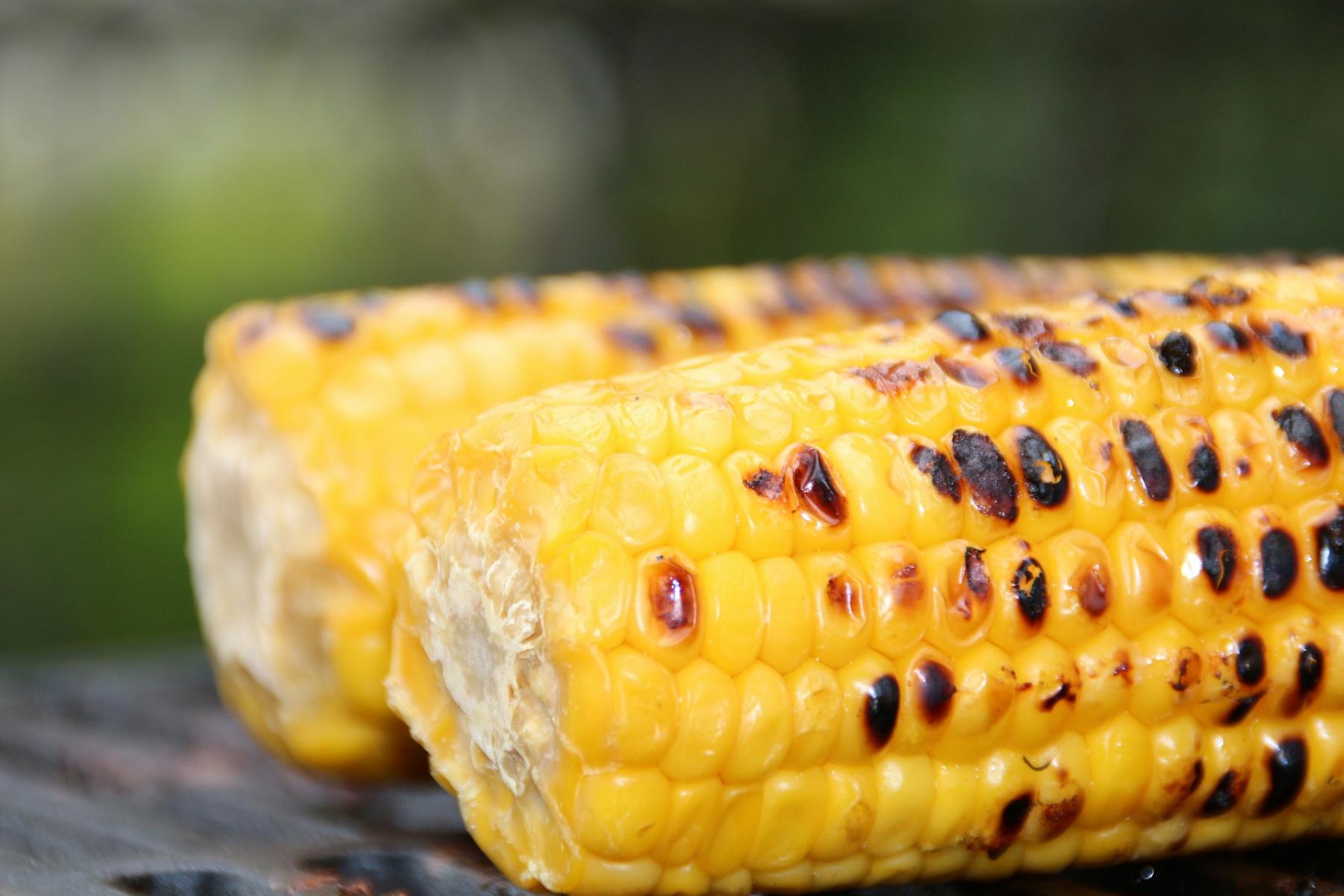 Grilled sweet corn. 