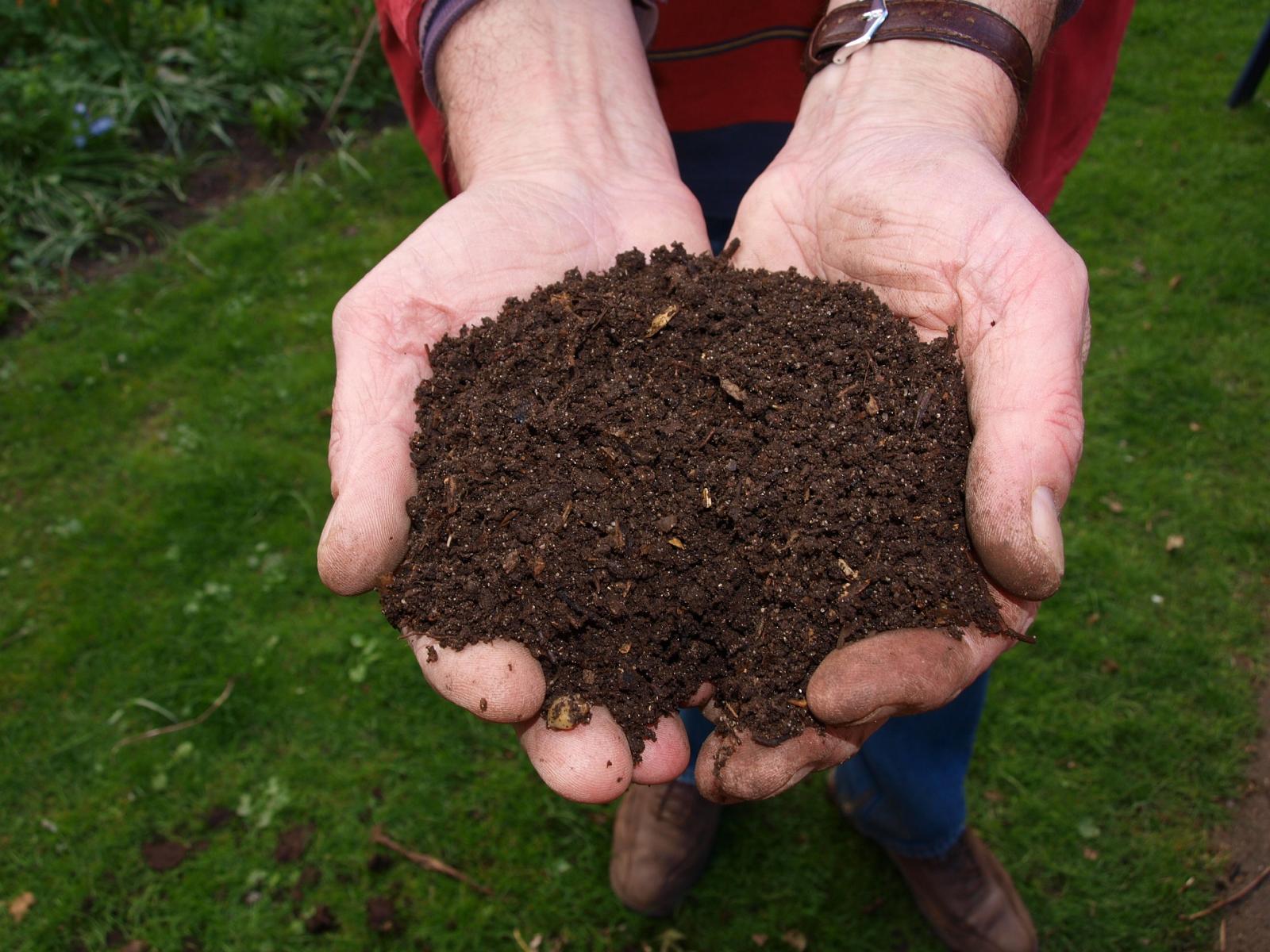 Image of finished compost.