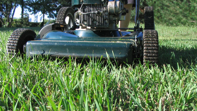 getting your lawn ready for summer - aeration - photo by V. Jedlicka