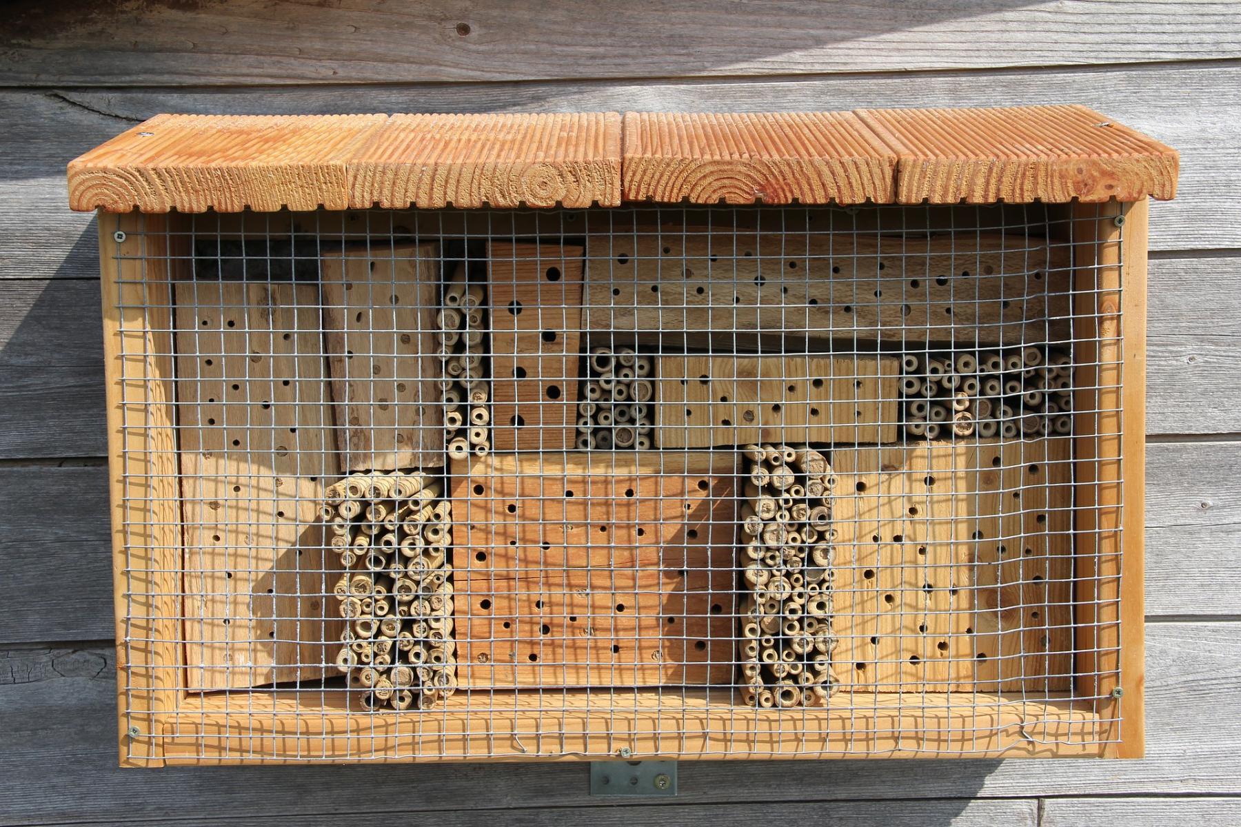 Picture of an insect hotel or a native bee habitat.