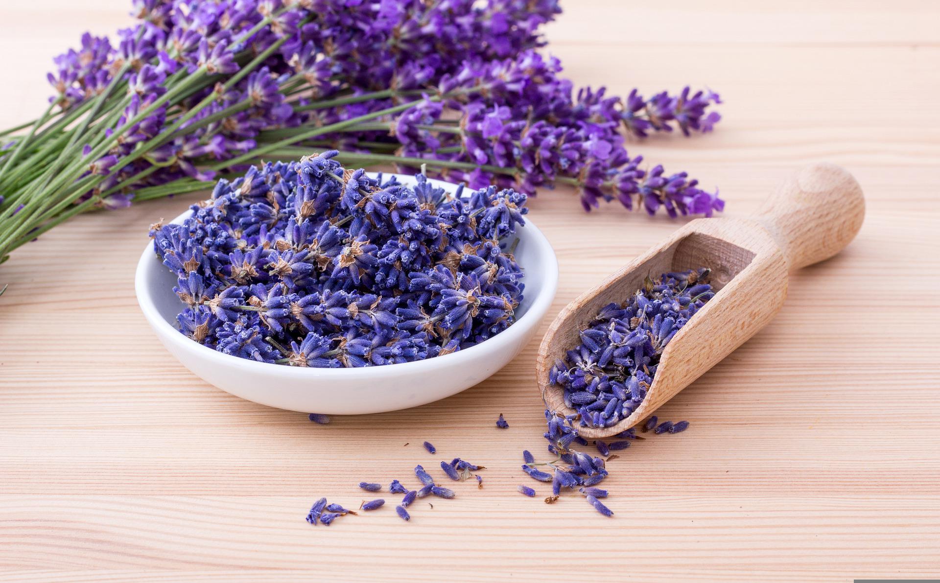 Image of lavender for drying and use in potpourri. 