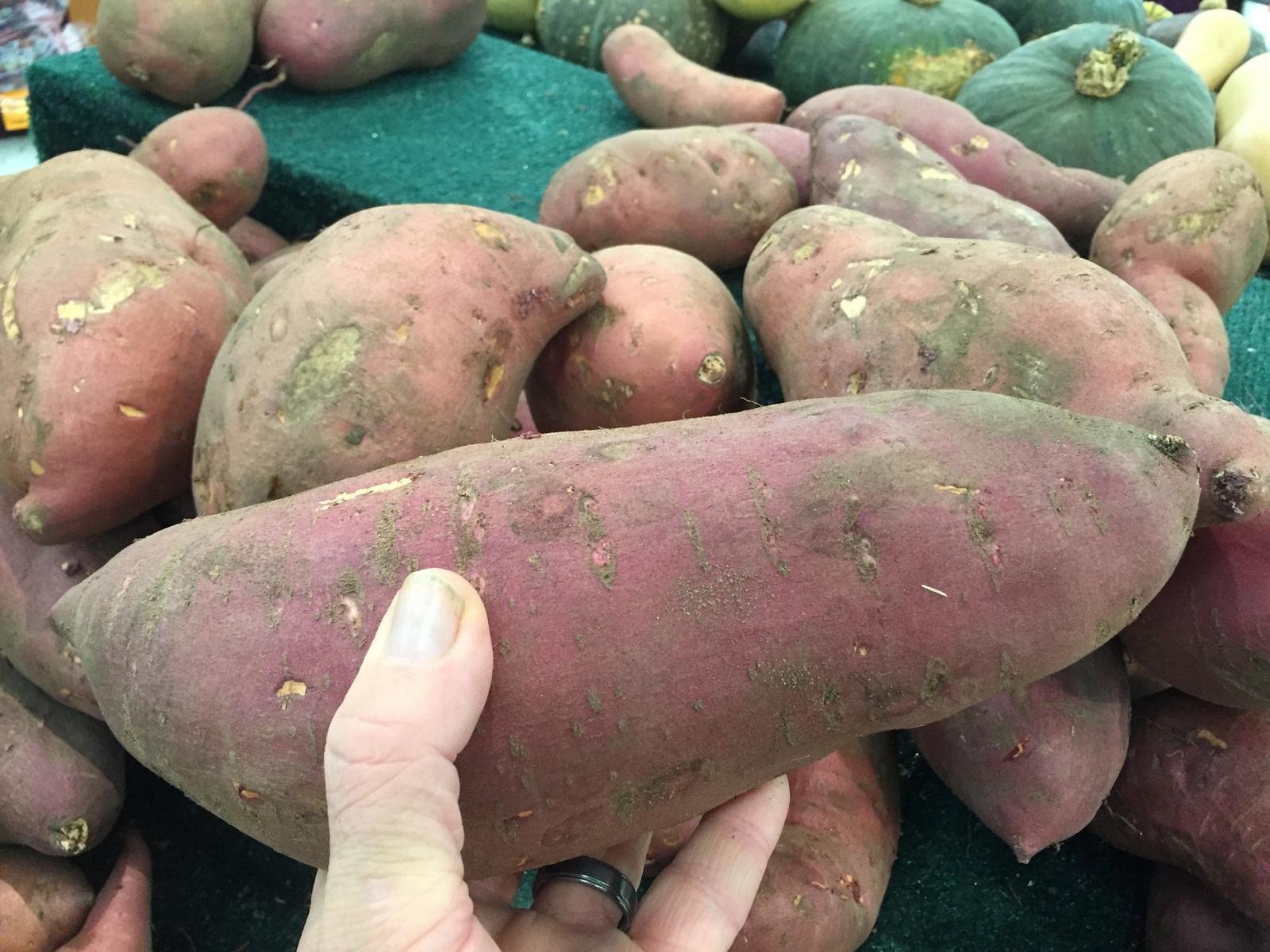 Image of sweet potato.