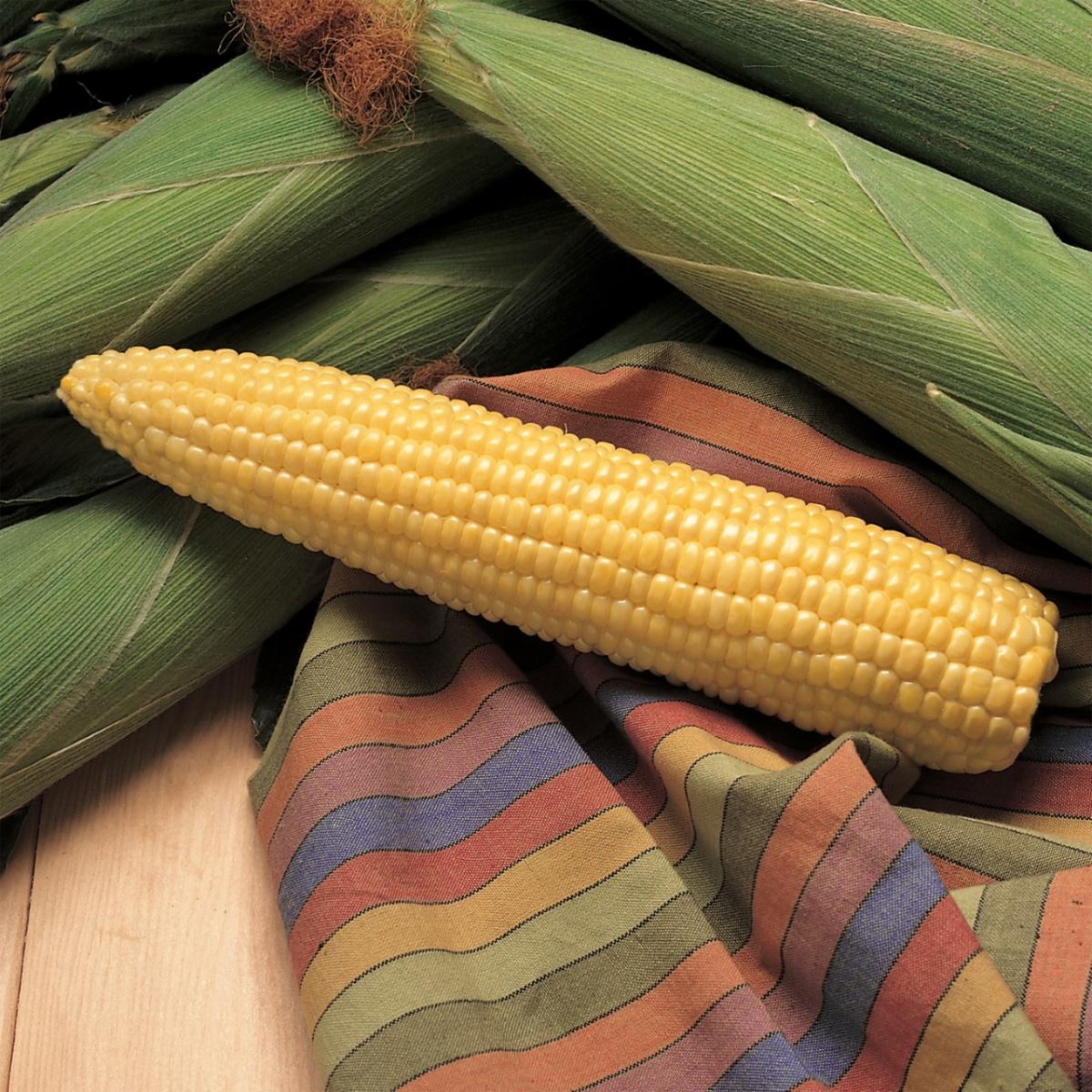 Picture of Honey-Select Sweet Corn