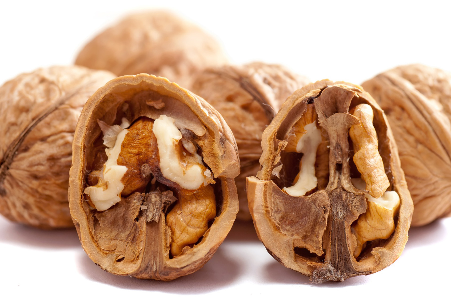 Picture of Walnuts