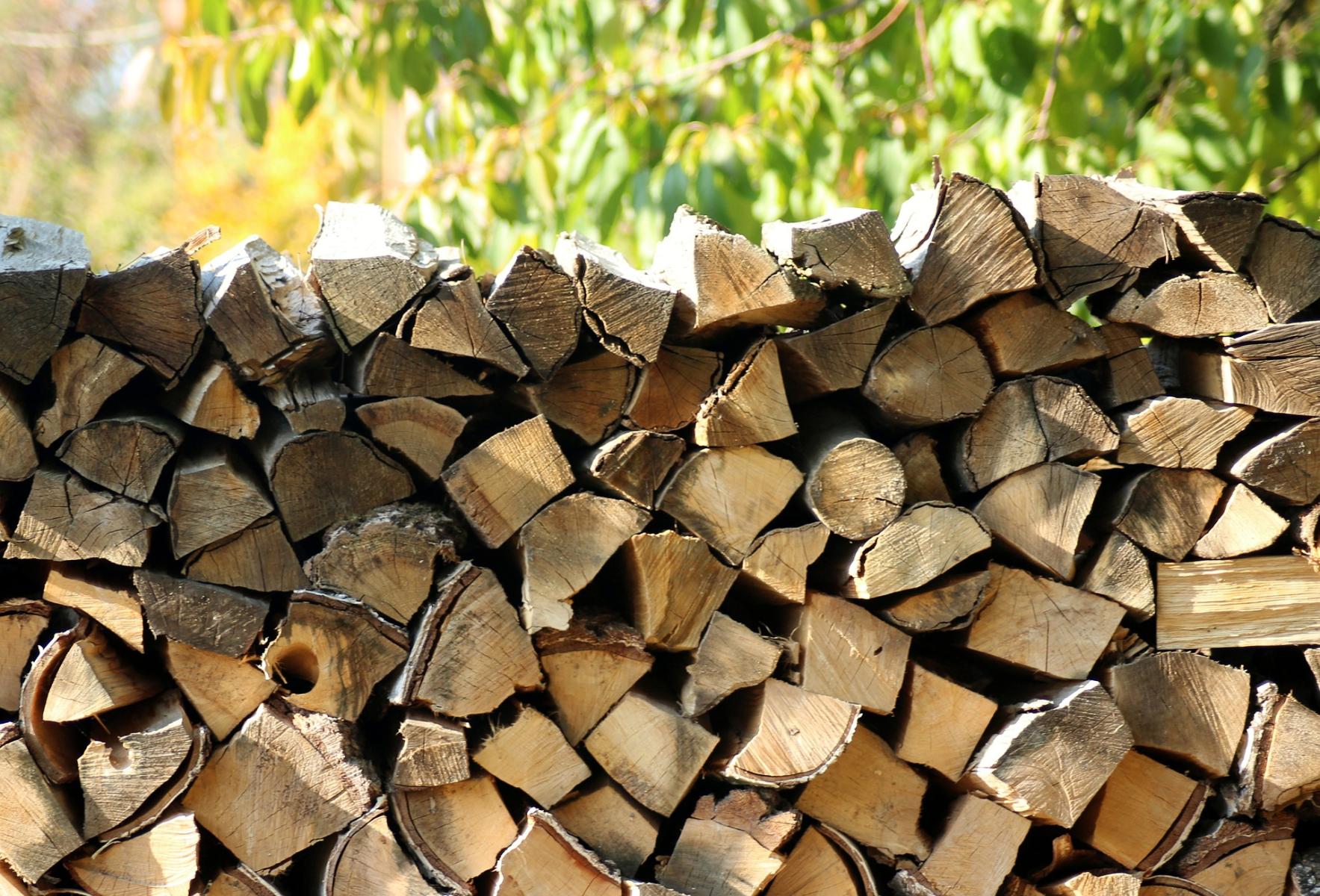 Picture of cut fire wood stacked and drying. 