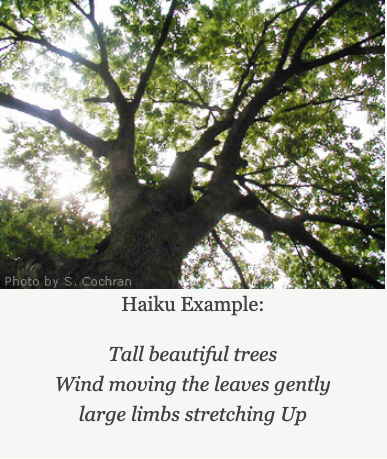 Image of a garden haiku poem. 