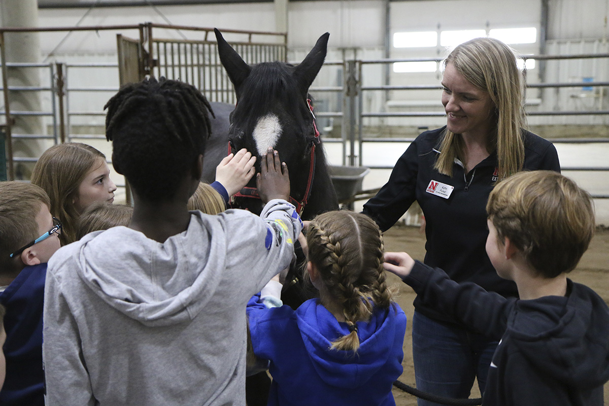 several youth petting a horse