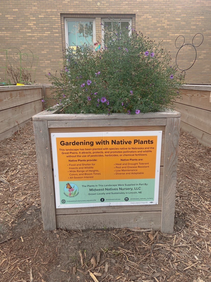 plants in planter with a sign that reads Gardening with Native Plants