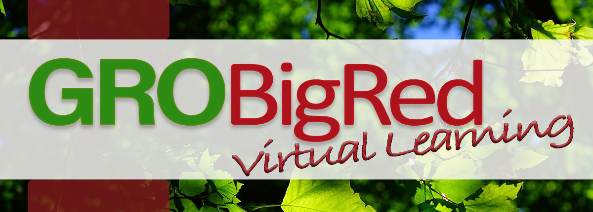 Image of GRO Big Red program logo. 
