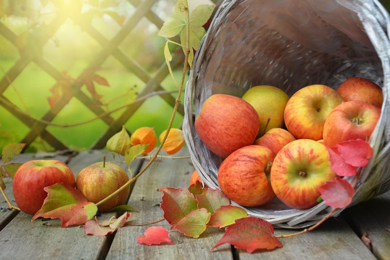 Storing Apples - How To Preserve Apples From The Garden