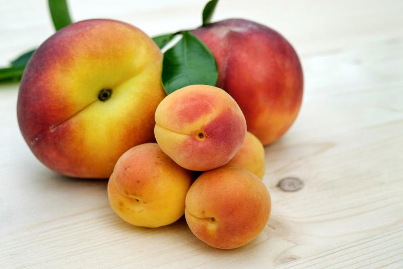 Growing and Harvesting Peaches & Apricots