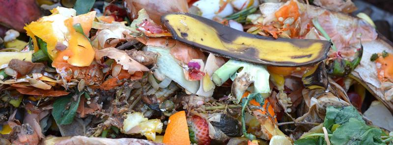 Trench Composting – A Simple Method of Reusing Kitchen Waste