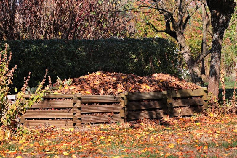 Turn Autumn Leaves into Compost