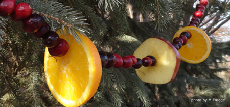 Fruit Garland for the Birds