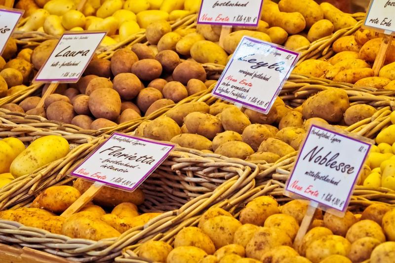 Selecting Potatoes for the Home Garden