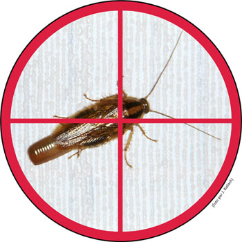 Manual Para el Control de Cucarachas