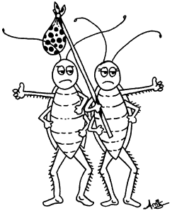Las cucarachas son fácilmente transportadas de las viviendas infestadas a los lugares nuevos