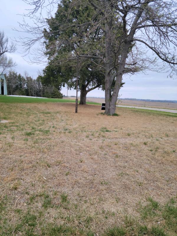 Picture of Lawn - Winter Damage