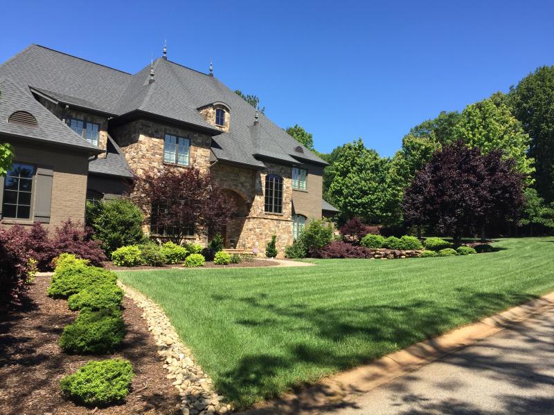 Image of a home lawn. 