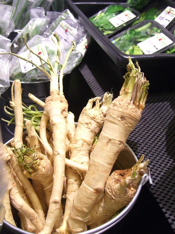 Picture of Horseraddish roots